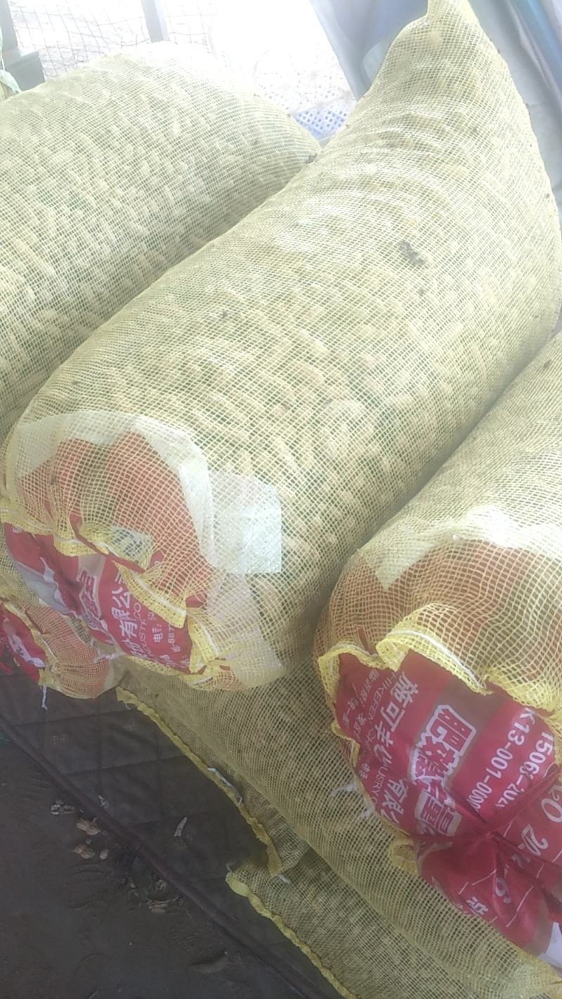 鲜花生