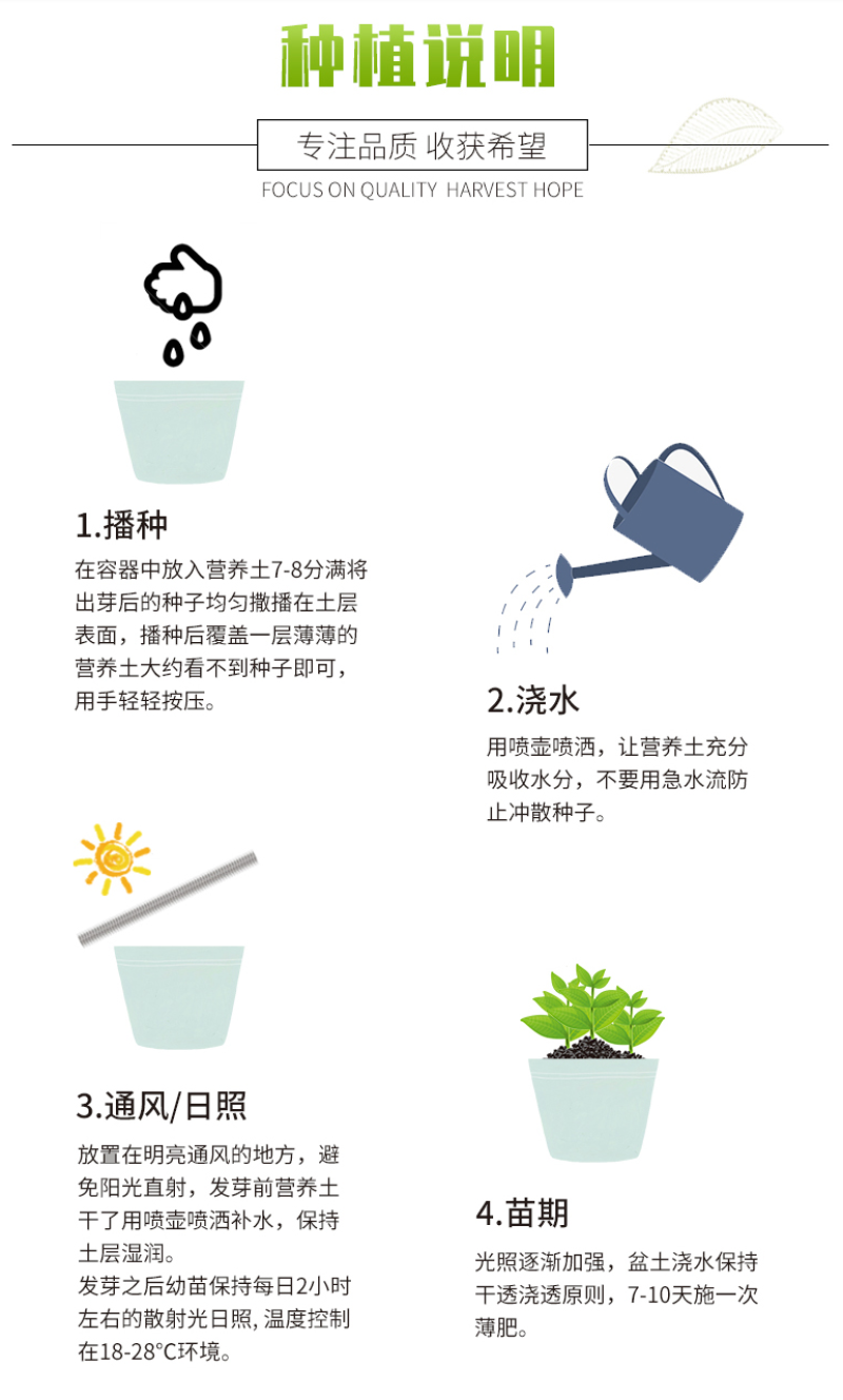 五彩石竹花种子四季开花易种室内阳台盆栽矮生观赏室外庭院花