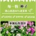 五彩石竹花种子四季开花易种室内阳台盆栽矮生观赏室外庭院花