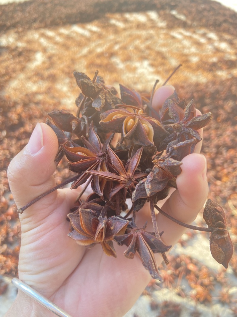 广西八角水烫大红八角自然晒干无硫八角大茴香