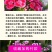 五彩石竹种子四季种混色常夏石竹美国石竹种庭院绿化观赏花种