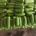 精品瓠瓜大量上市适合超市电商
