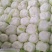 精品优质北京三号大白菜,质量保证,量大从优,欢迎选购