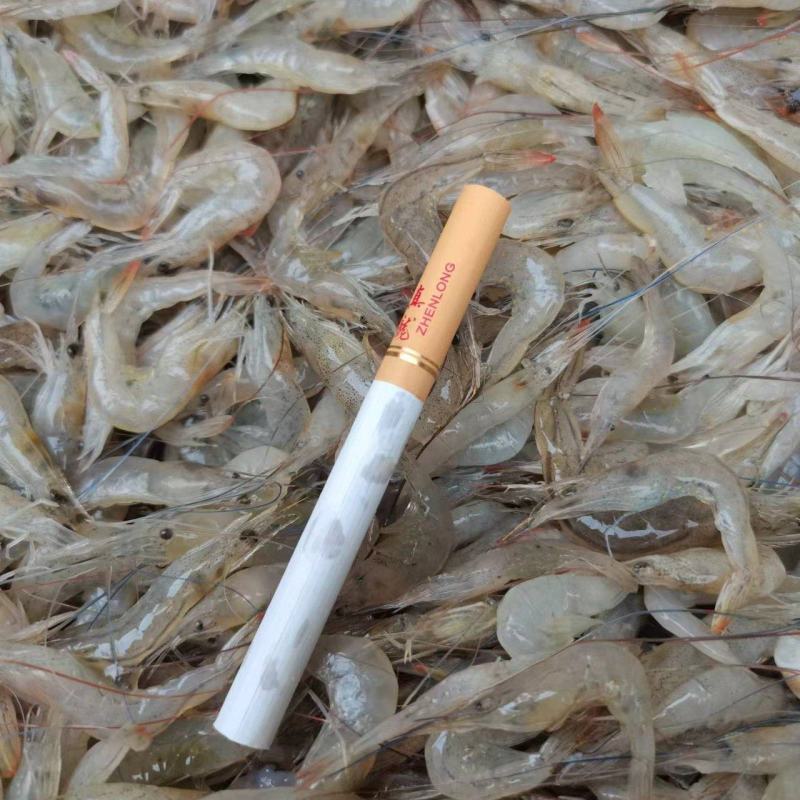小白虾，小海鱼，小白对虾，团购海虾，海鱼。