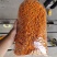 有硫中小条