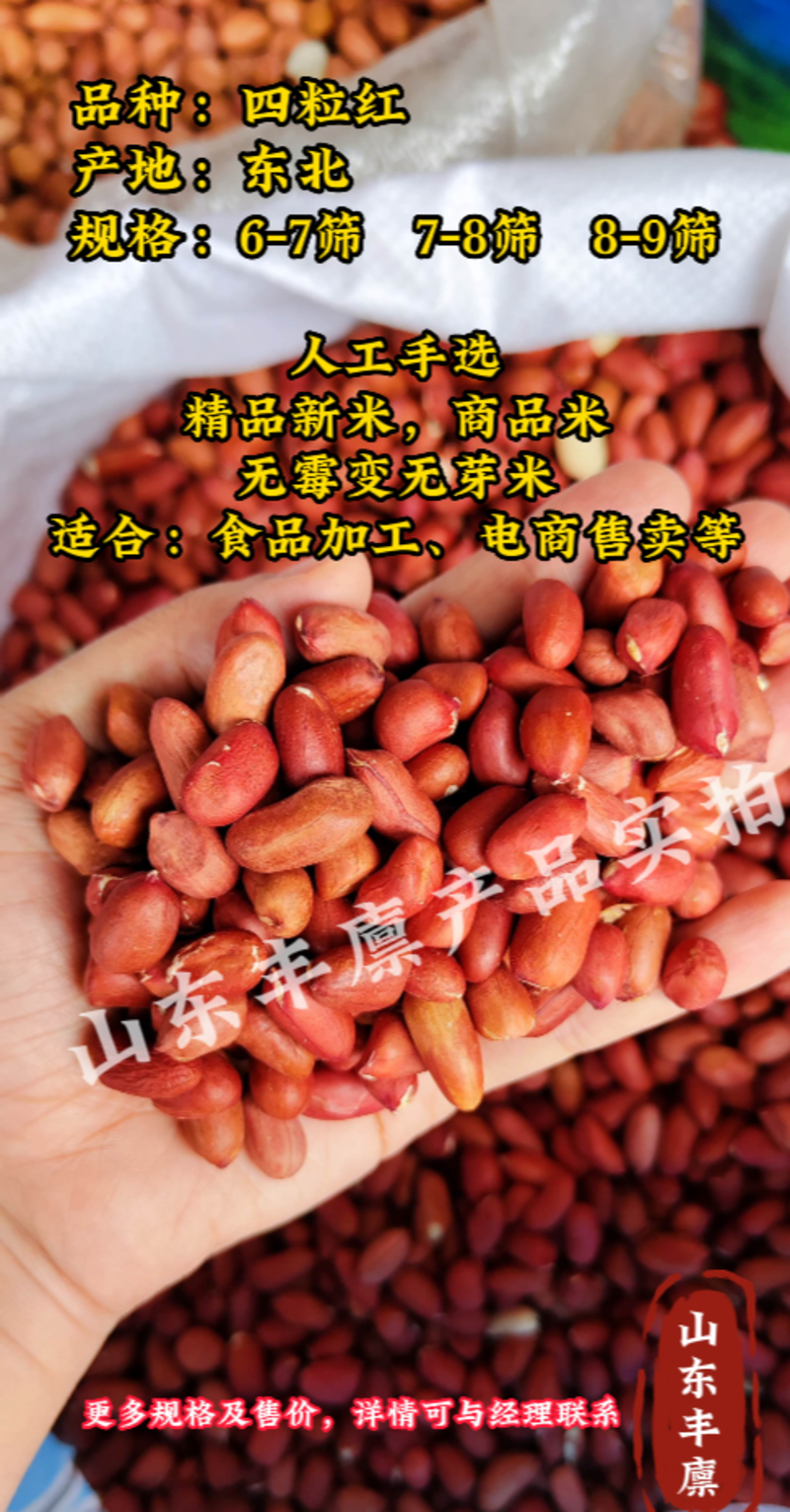 大白沙四粒红花生米价格便宜质量有保障电商商超专用