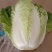 高山大白菜