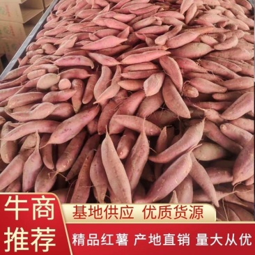 【精品推荐】开封西瓜红，西瓜红红薯，产地直发，全国代发