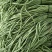 【推荐】河南精品青条豆角大量上市中，基地直供，诚信经营