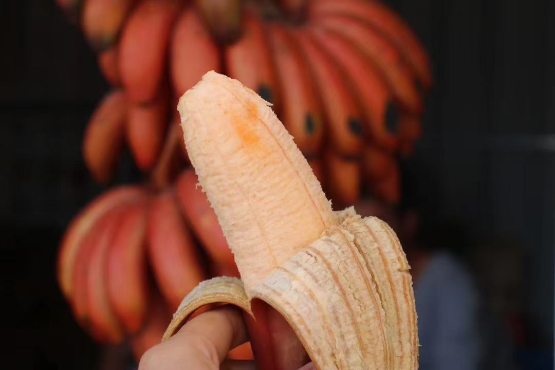 营养成分柱状对比图