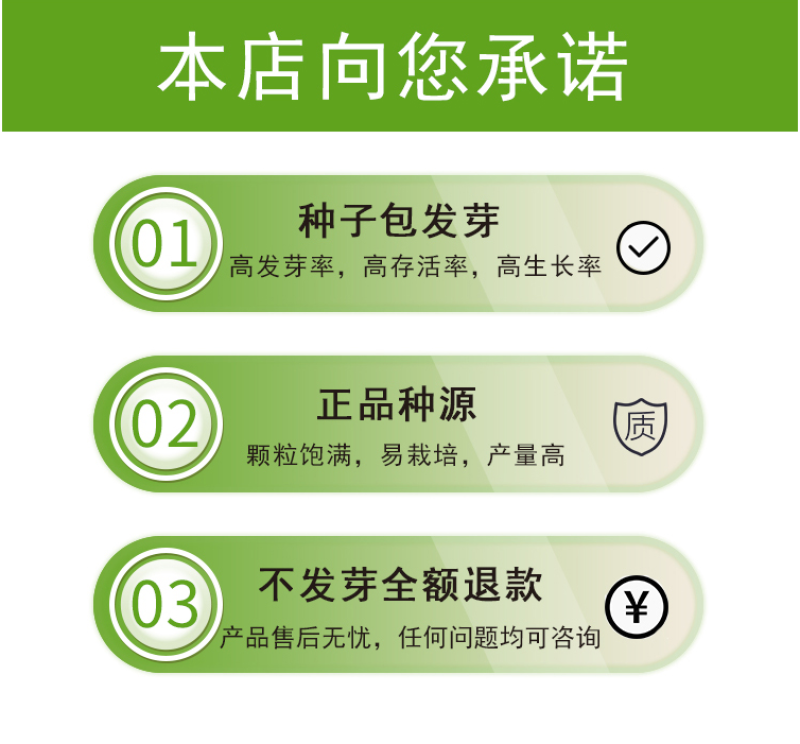 羽叶茑萝种子四季开花爬藤易活花卉籽五星花室内盆栽室外庭院