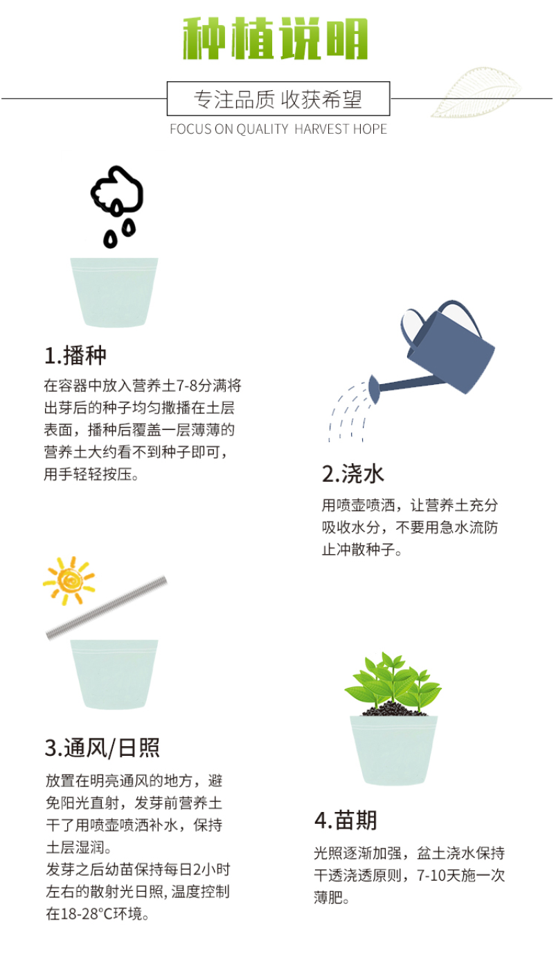 羽叶茑萝种子四季开花爬藤易活花卉籽五星花室内盆栽室外庭院