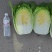 黄心大白菜上市，3-6斤，需要联系，各种包装