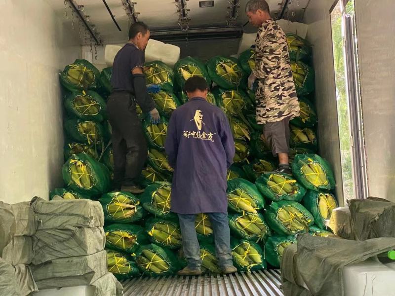 产地甜糯玉米上市走货，质量好价格不高，直供商超，欢迎采购