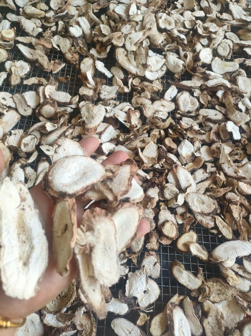 白粉藤，白粉藤，粉藤，干片，大货出货中