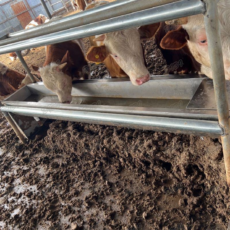 恒温饮水槽电加热不锈钢牛羊喝水槽冬季防冻食槽养殖场设备可