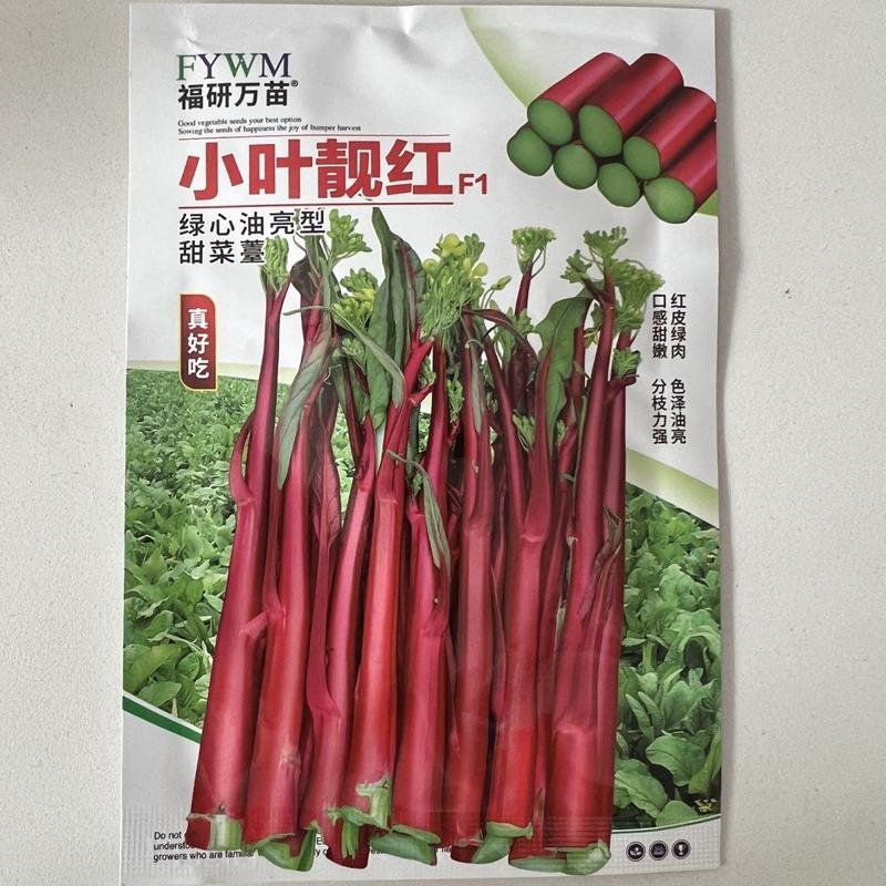 小叶靓红绿心油亮红菜苔种子10克，红皮绿肉色泽油亮，甜嫩