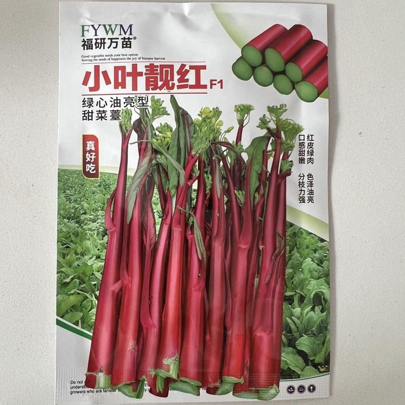 小叶靓红绿心油亮红菜苔种子10克，红皮绿肉色泽油亮，甜嫩
