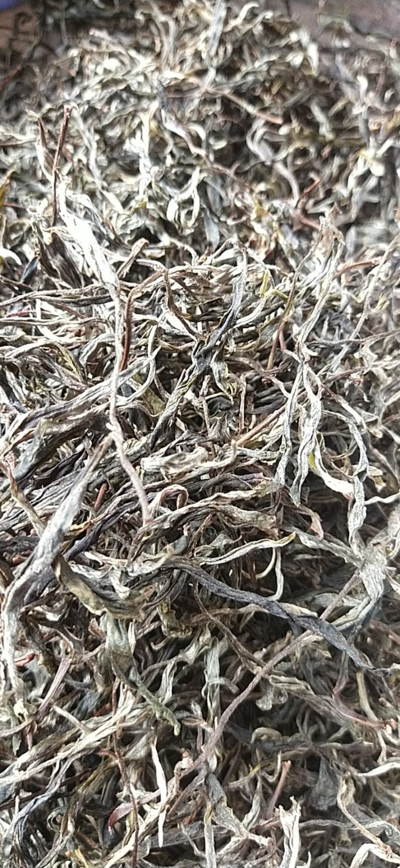 云南西双版纳傣族自治州勐腊县易武天门山纯料古树高杆