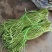 精品豇豆长豆角,基地供货,新鲜采摘,颜色绿,货源充足