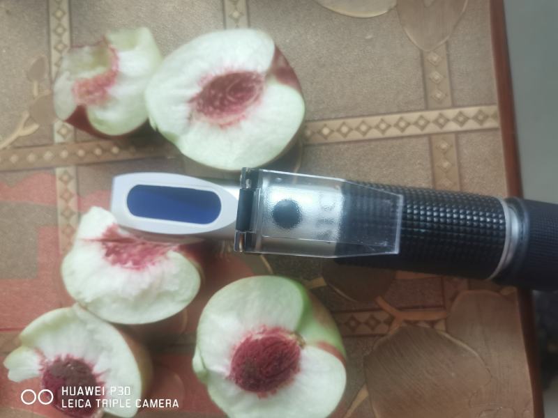 陕西大荔离核珍珠枣油桃,产地直发,优品优果