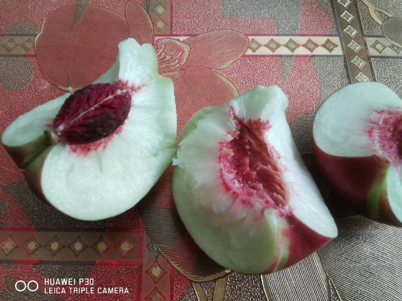 陕西大荔离核珍珠枣油桃,产地直发,优品优果