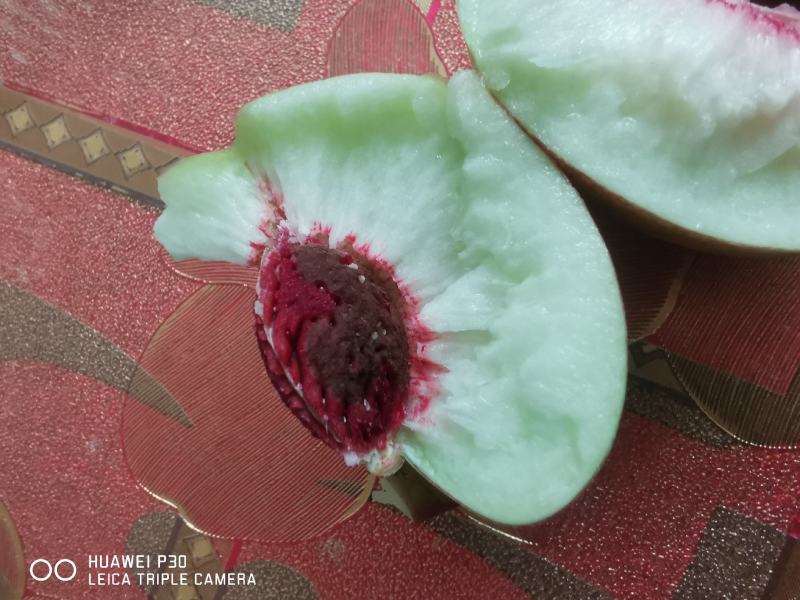 陕西大荔离核珍珠枣油桃,产地直发,优品优果