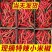 天香米椒质量保证基地供应电商商超市场直发