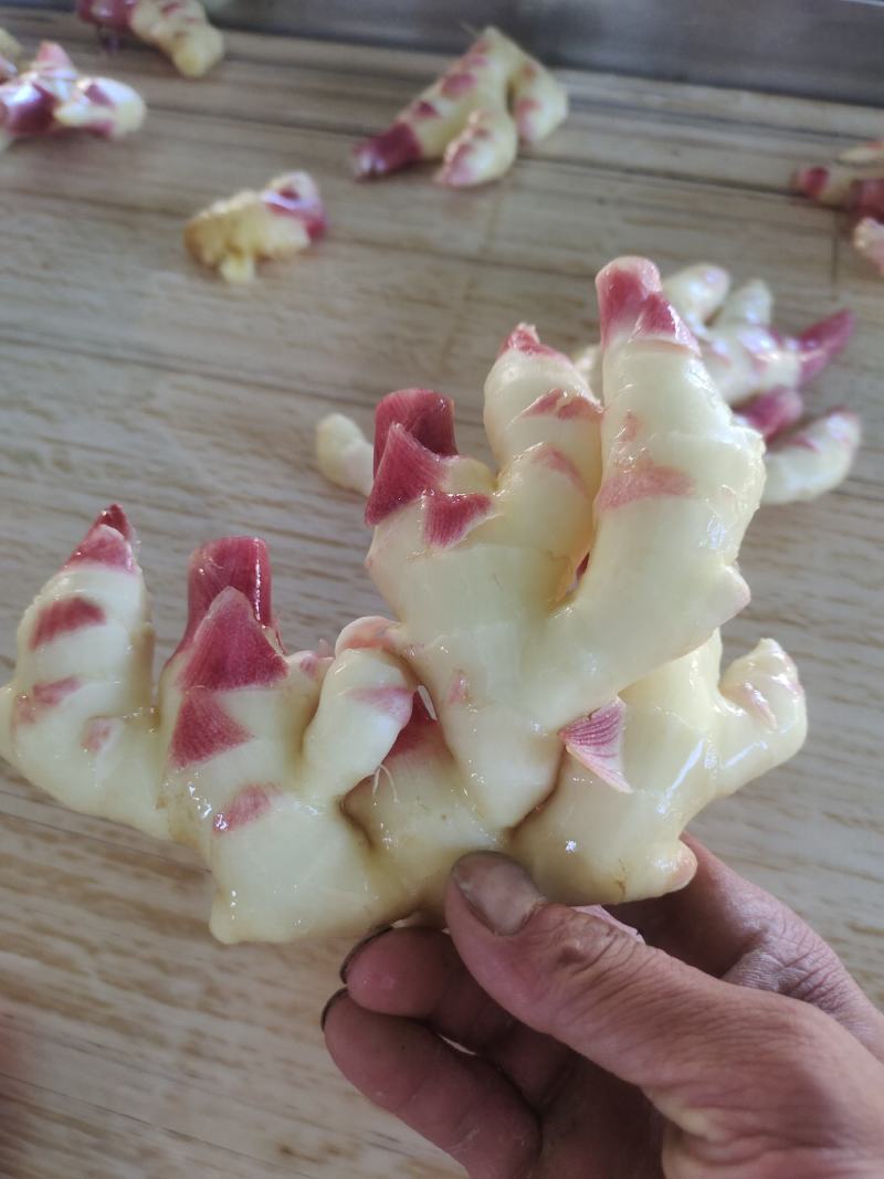 黔南惠水红牙姜，二黄姜，小黄姜
