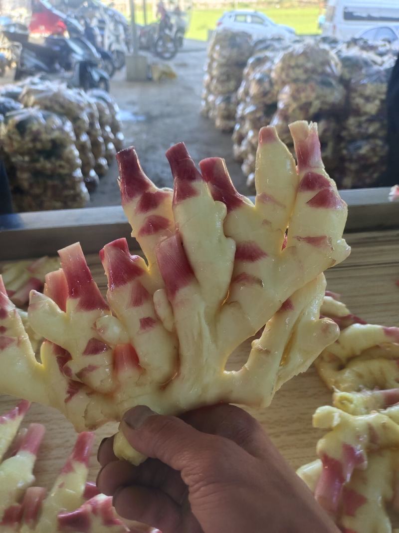 黔南惠水红牙姜，二黄姜，小黄姜