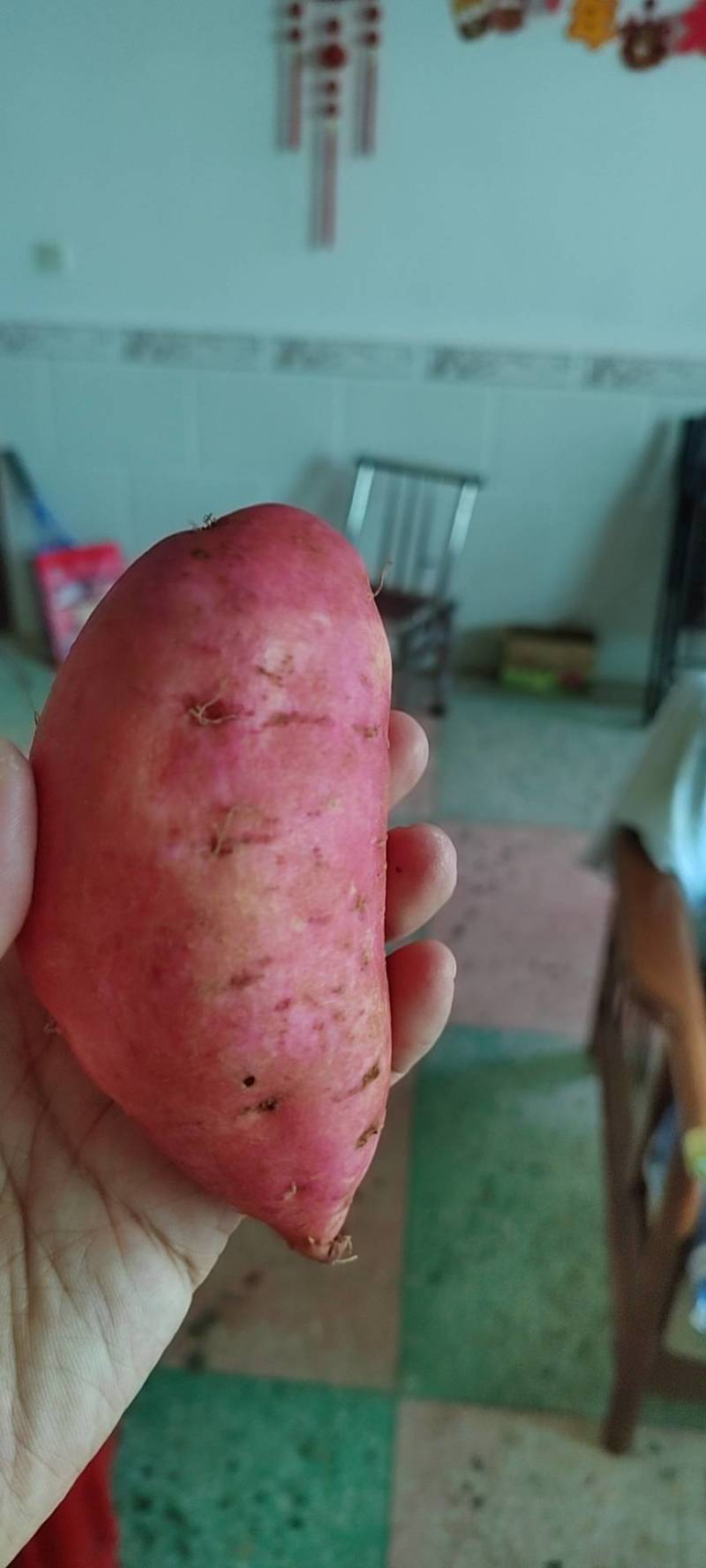 汨罗红薯