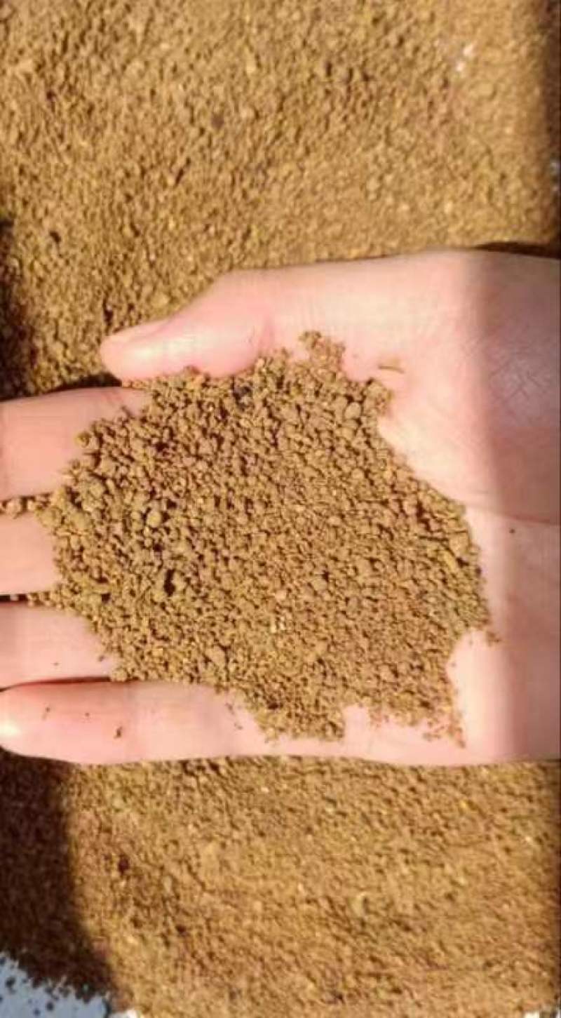喷浆豆渣适合各种养殖水产养殖蛋白高适口性好
