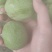 青皮核桃
