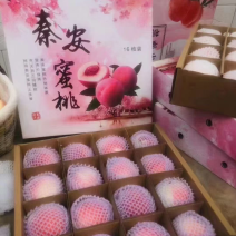 秦安蜜桃大量上市需要联系，一件代发