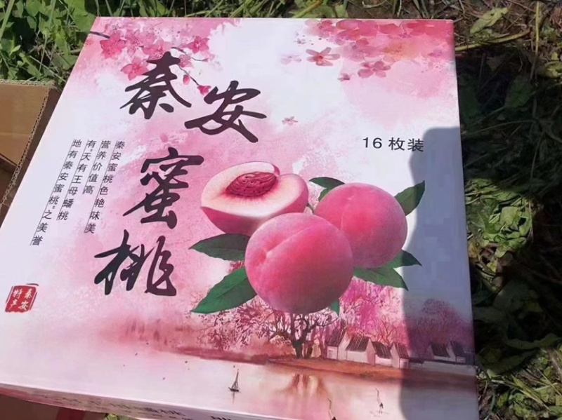 秦安蜜桃大量上市需要联系，一件代发