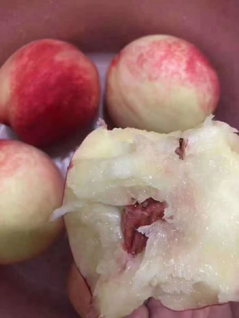秦安蜜桃大量上市需要联系，一件代发