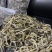 650头海龙