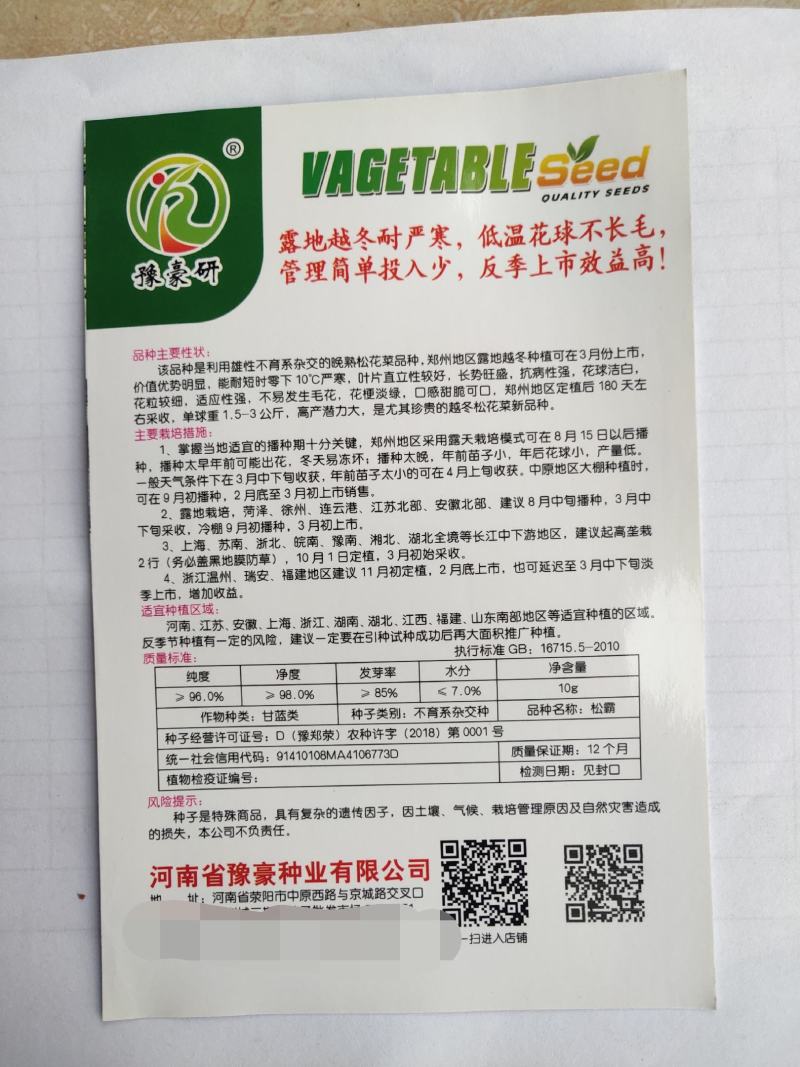 松霸露地越冬菜花种子耐严寒商品性强商品性强