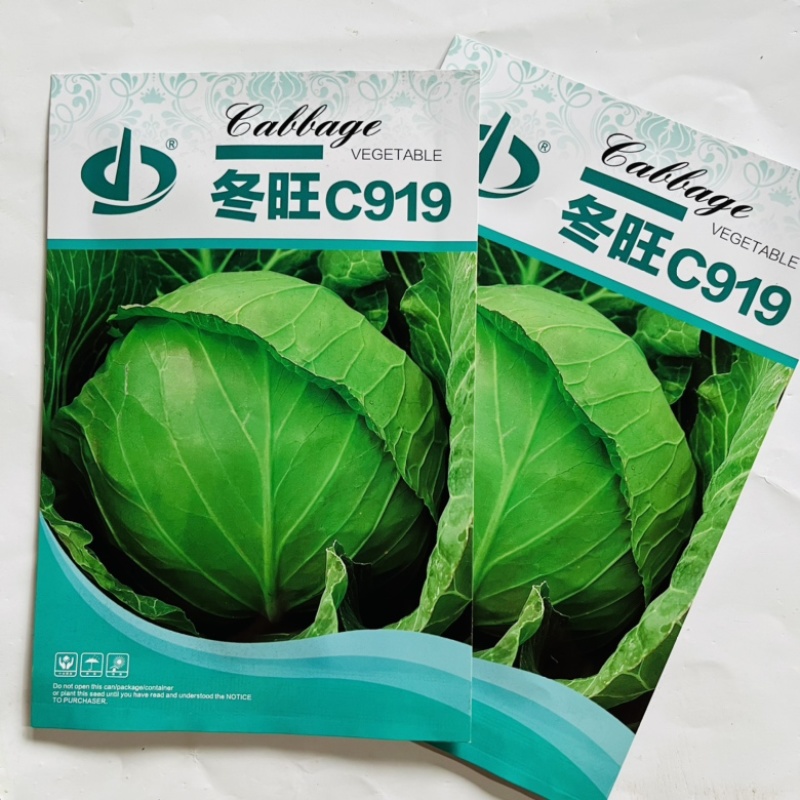 甘蓝种子冬旺C919杂交品种耐寒性强大田用种子