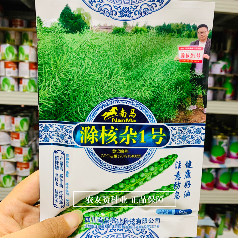 滁核杂1号油菜种子矮杆高产分枝多高含油结荚密榨油菜籽种子