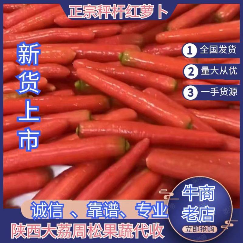 陕西大荔精品称杆红萝卜，条形直，颜色好看产地直发，货源充