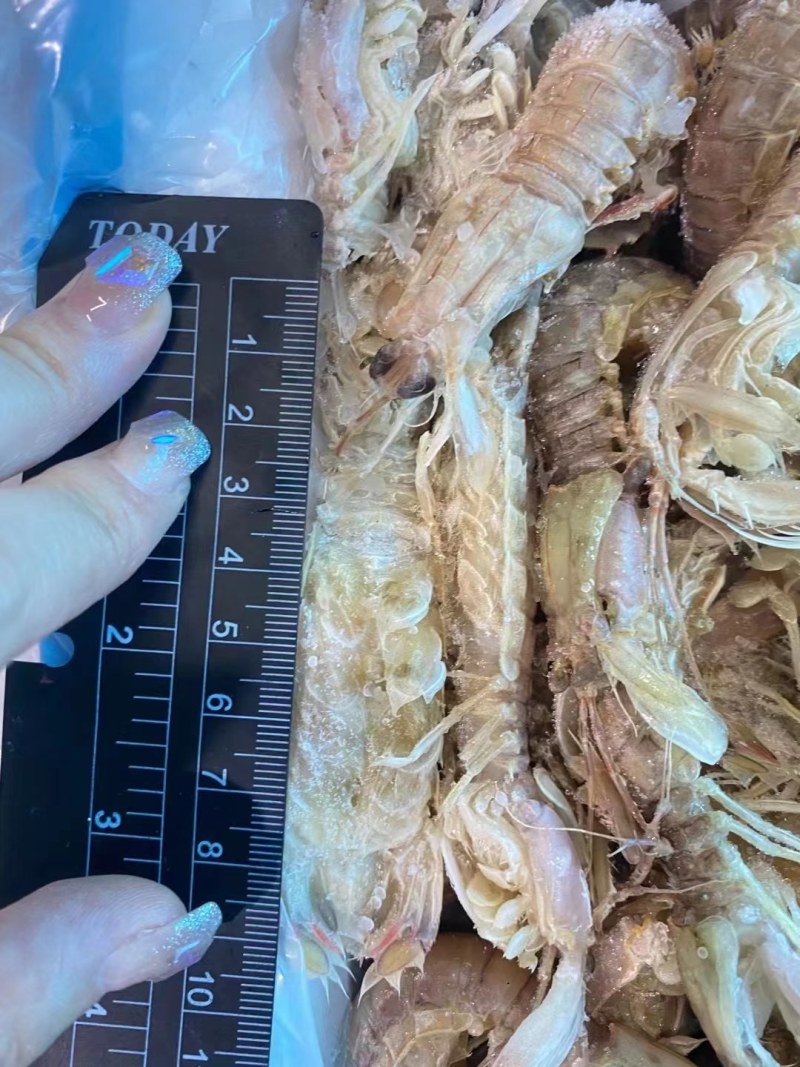 虾爬子。皮皮虾