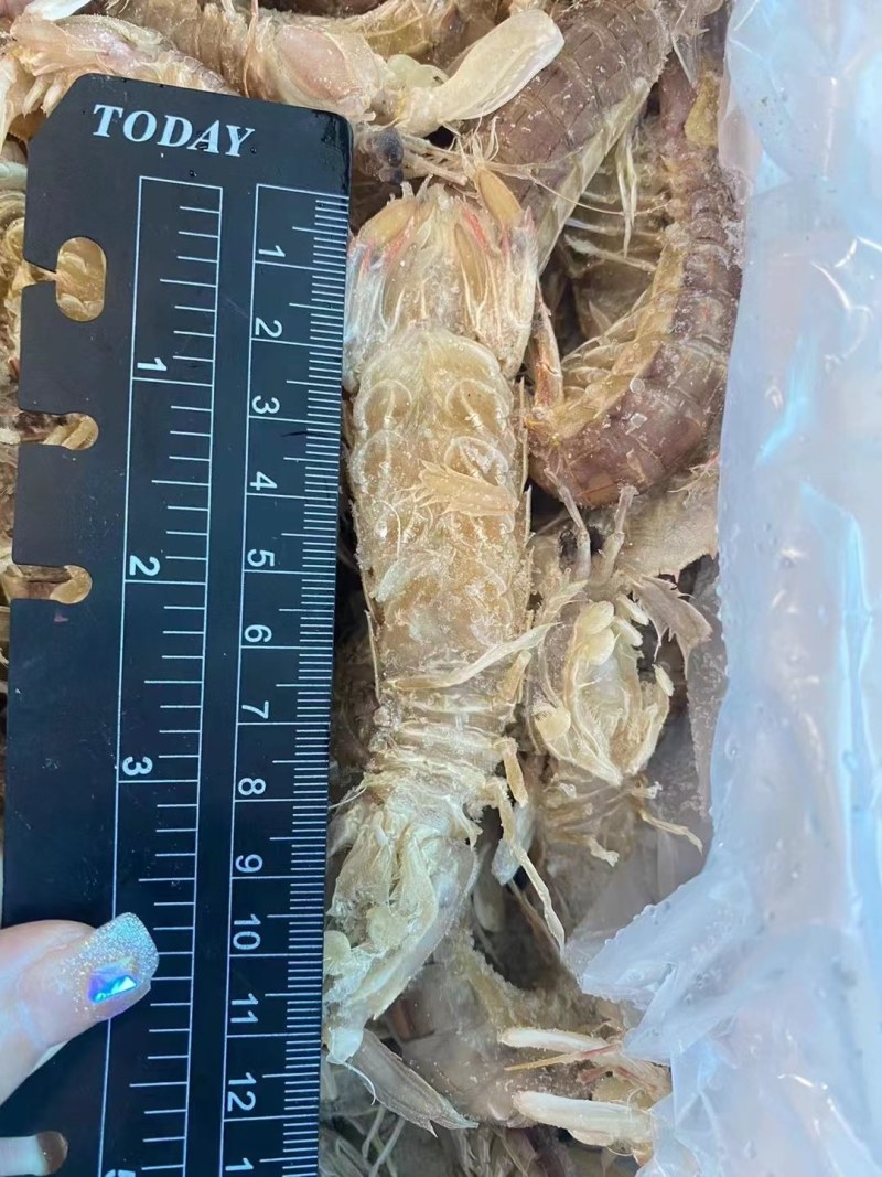 虾爬子。皮皮虾