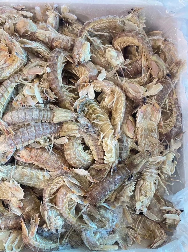 虾爬子。皮皮虾