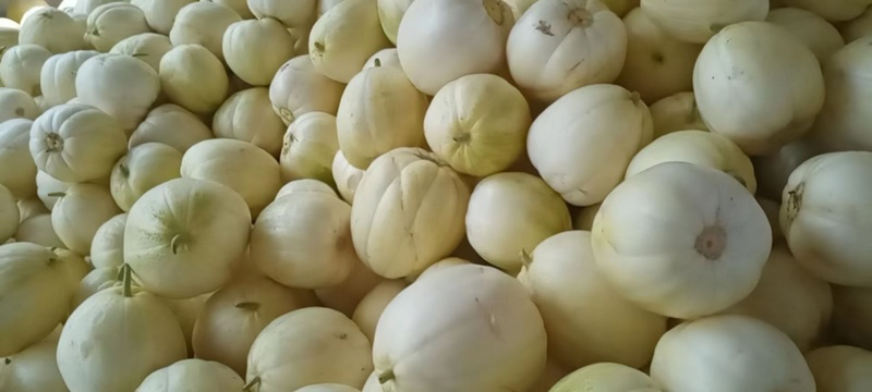 香瓜与甜瓜对比图,展示两者在外观和果肉上的差异 香瓜与甜瓜对比图