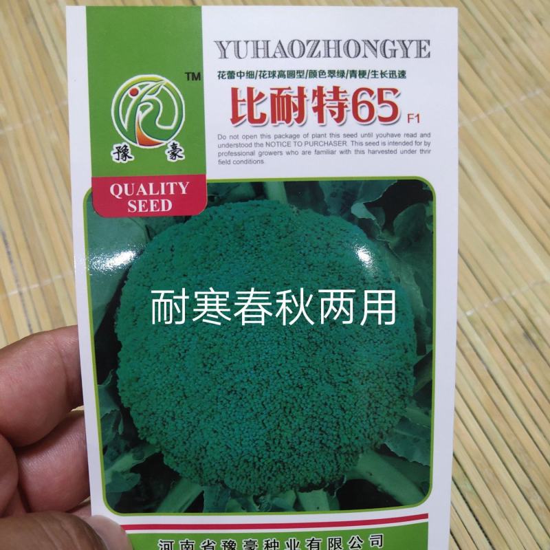 比耐特65西兰花种子耐严寒西兰花种深绿细米粒60天上市