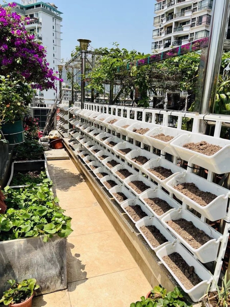 阳台种菜盆架子蔬菜草莓立体种植盆多层栏杆悬挂花盆架组合长