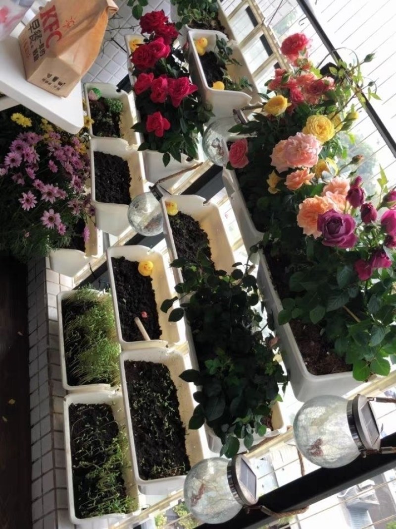 阳台种菜盆架子蔬菜草莓立体种植盆多层栏杆悬挂花盆架组合长