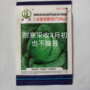 冰雪早圆1873F1露地越冬甘蓝种子囗感好结球紧实深绿