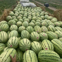 硒砂瓜大量上市中，皮薄肉红，耐运输，甜度高，产地直销！，